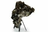 Dark Smoky Quartz Crystal Cluster on Metal Stand - Brazil #349471-1
